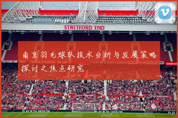 南京羽毛球队技术分析与发展策略探讨之焦点研究