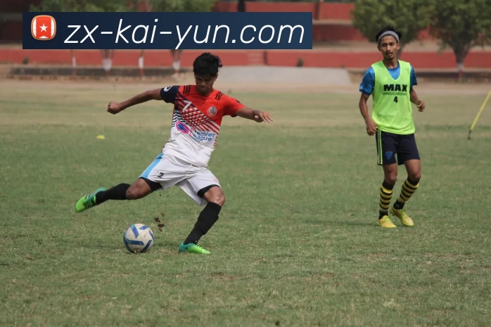 开云平台生态图